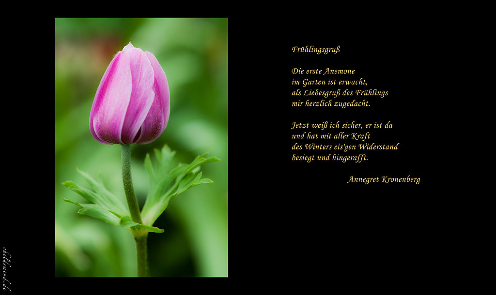 02-Februar