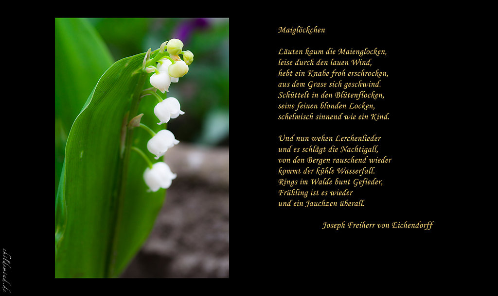 05-Mai