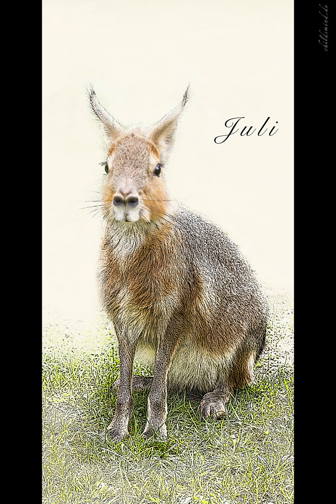 Juli